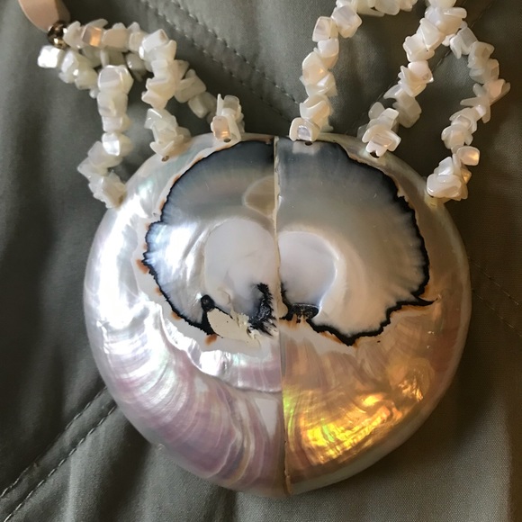 Shell Necklace - Picture 3 of 6